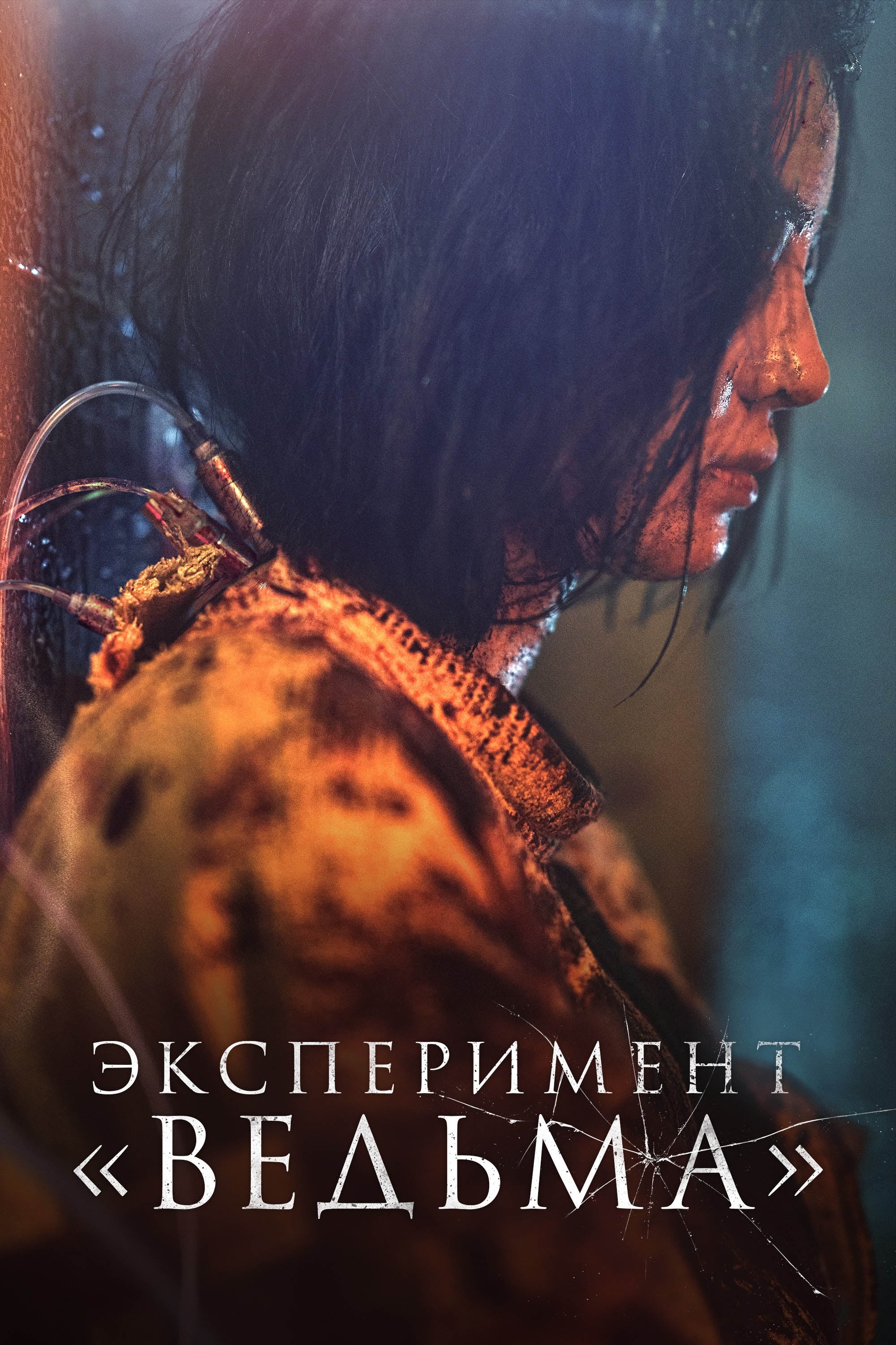 Эксперимент «Ведьма»