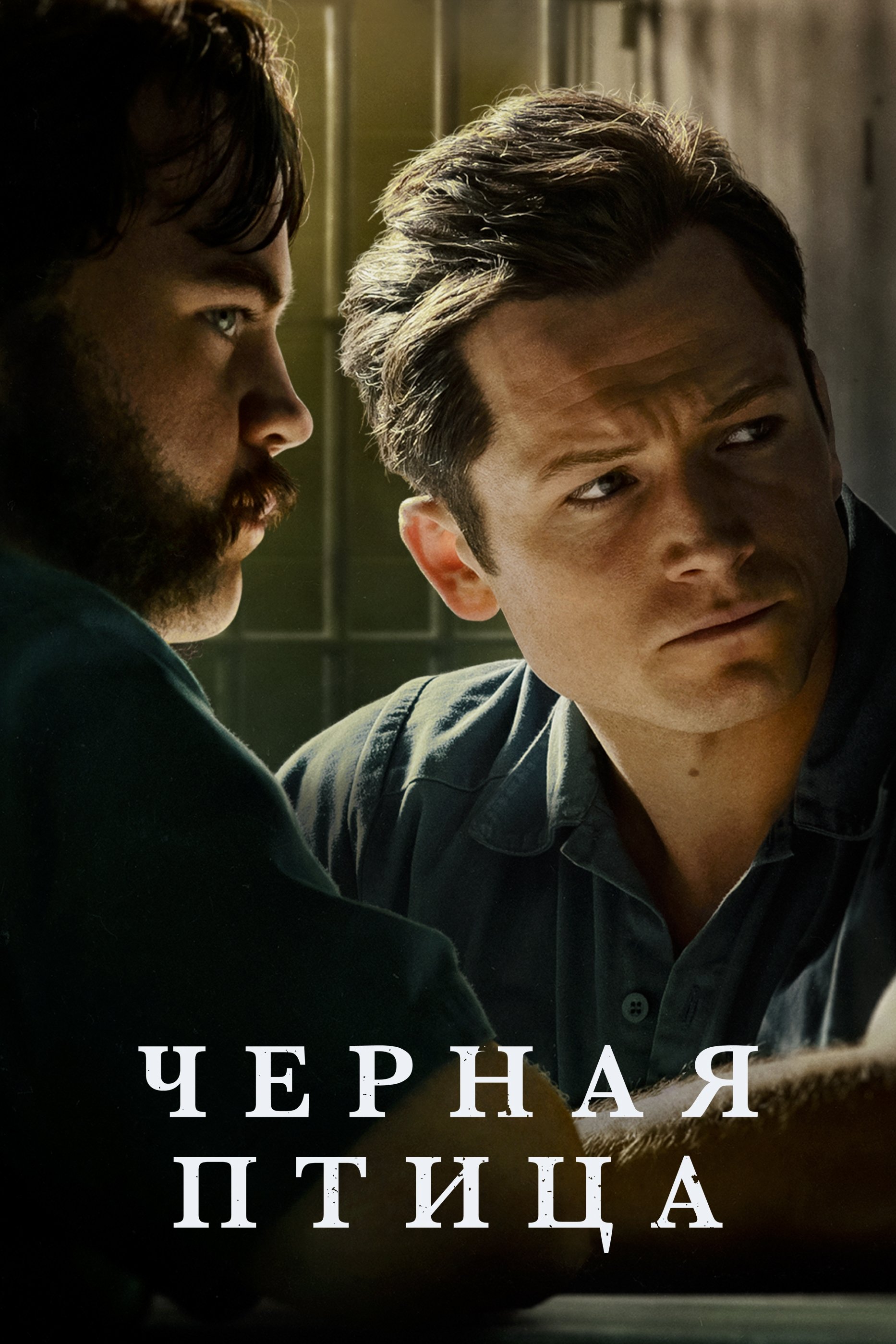 Черная птица